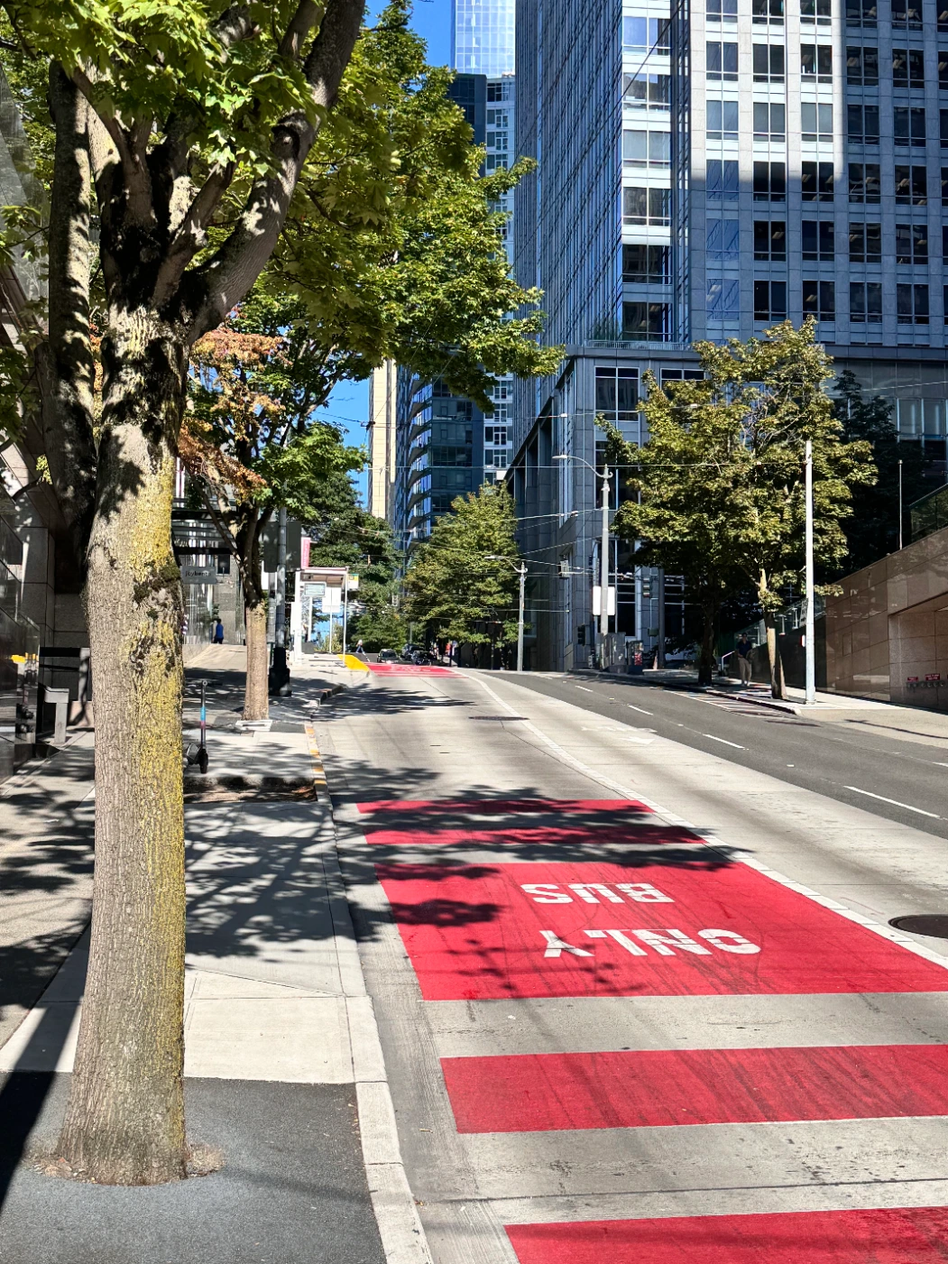 Transit and streetscape